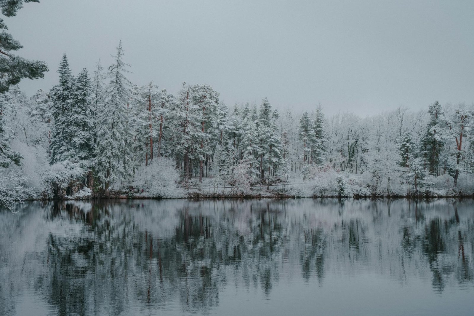 Serene snow-covered forest with reflection in a still lake during winter.