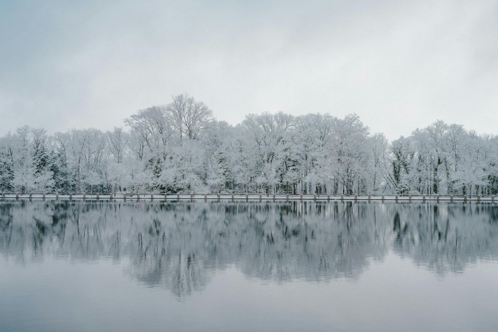 Serene winter scene of snow-covered trees reflecting in a calm lake.