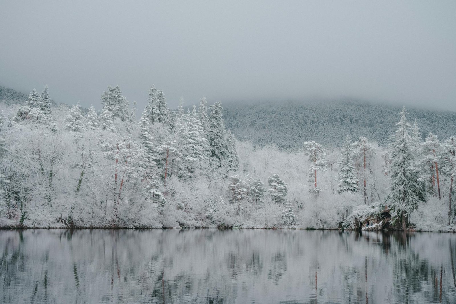 Snow-covered trees reflecting in a still lake create a peaceful winter scene at Real Sitio de San Ildefonso.