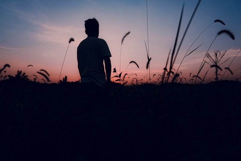 silhouette of man sitting on grass field during sunset