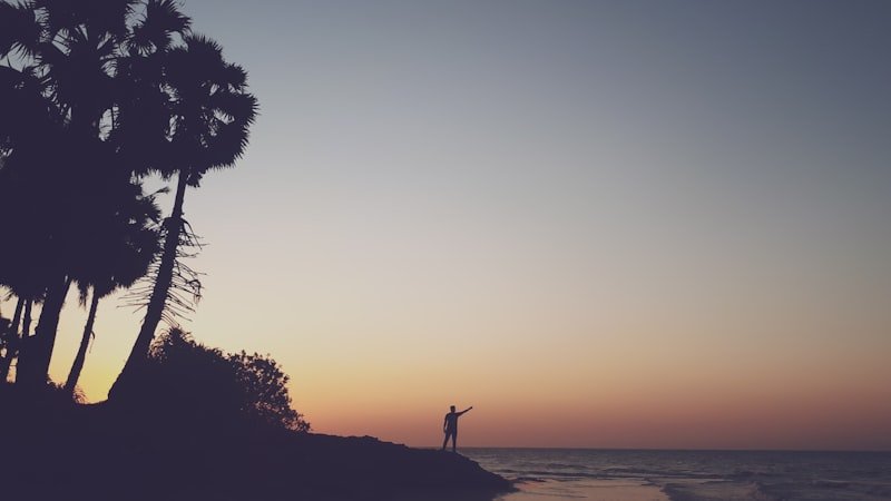 silhouette photography of person standing on shore