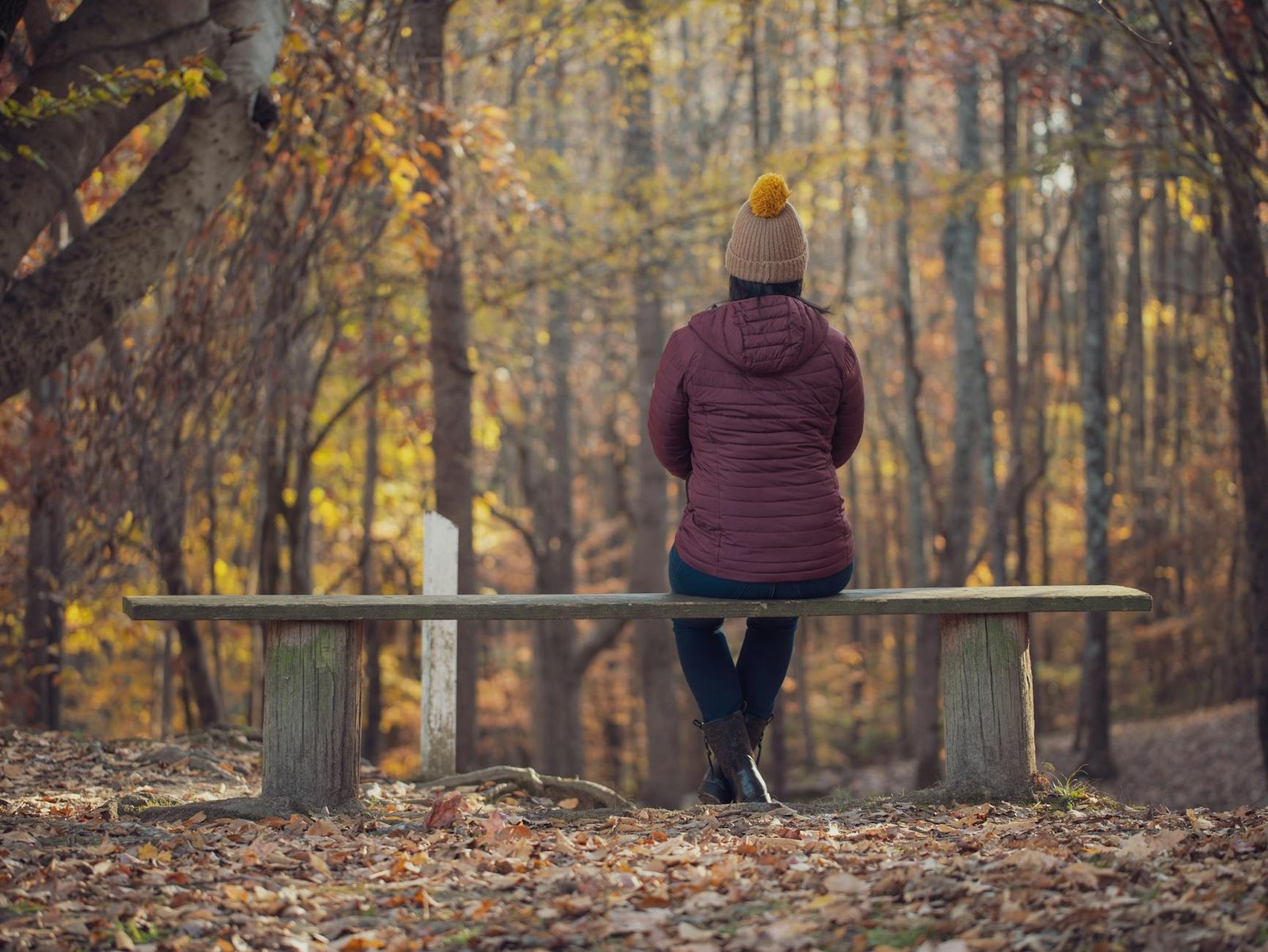 Solitary figure on a bench in a peaceful autumn forest setting.