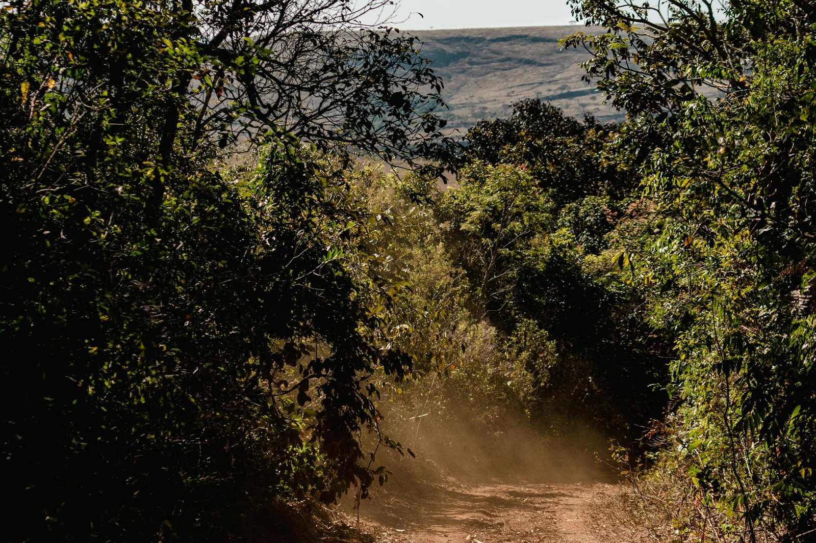 Explore the natural beauty of São Thomé das Letras with this serene dirt path in a lush forest landscape.